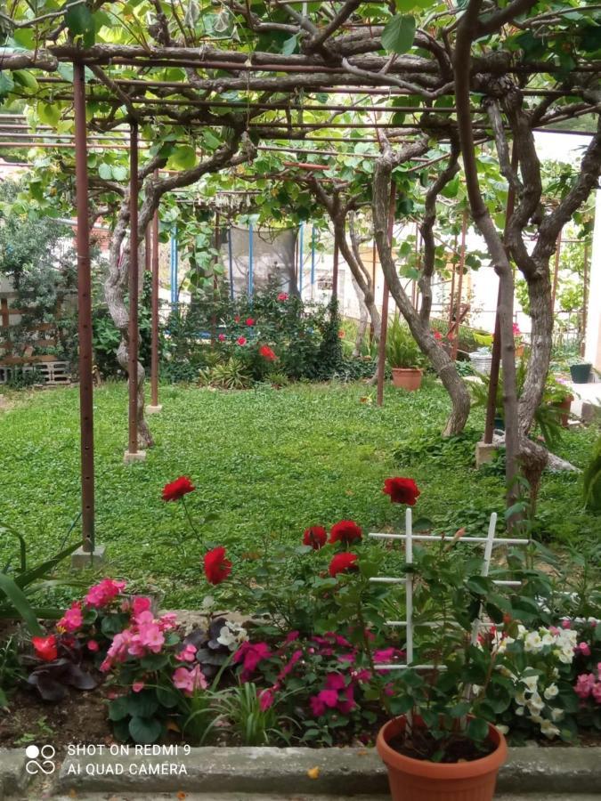 Apartment Beba دوغي رات المظهر الخارجي الصورة